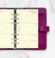 Filofax 2026 Refill 26-7541_9754126 (1).jpg
