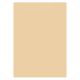 kartong beige.jpg
