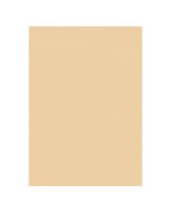 Folia Karton 300g 70x100cm 10 Ark Beige